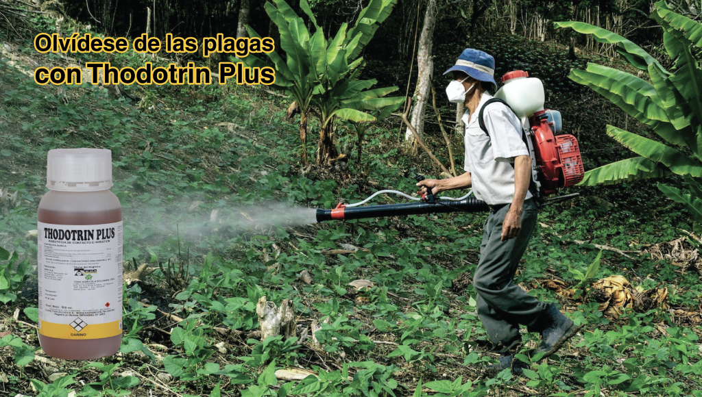 Un anuncio de venta Thodotrin Plus