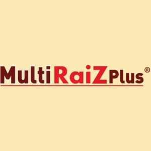 Multiraiz