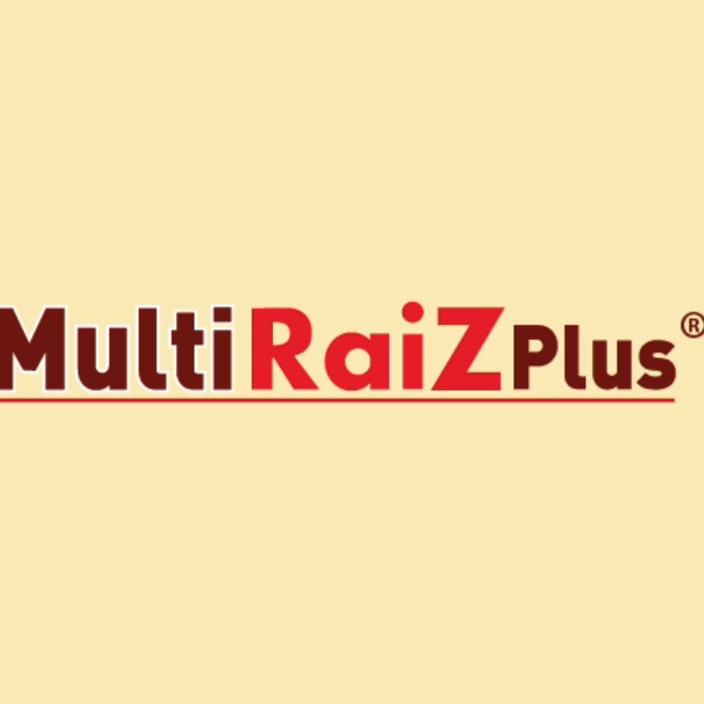Multiraiz